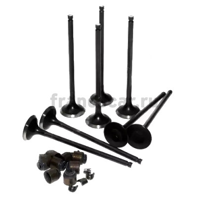 Клапан выпускной Renault Lada H4M (Renault) к-кт маслосъем.+сухарь