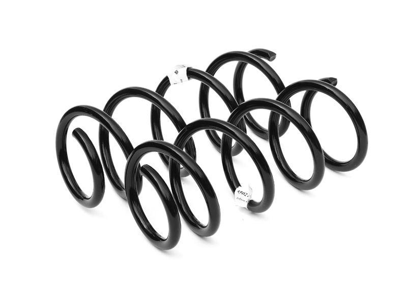 Пружина подвески задней Lada X-Ray (Fobos) усиленные